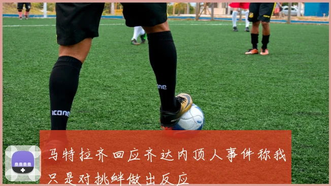 马特拉齐回应齐达内顶人事件称我只是对挑衅做出反应