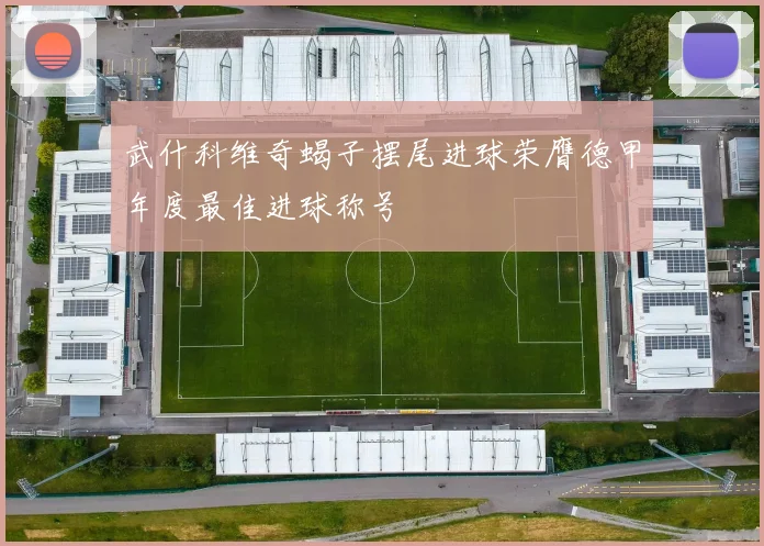 武什科维奇蝎子摆尾进球荣膺德甲年度最佳进球称号