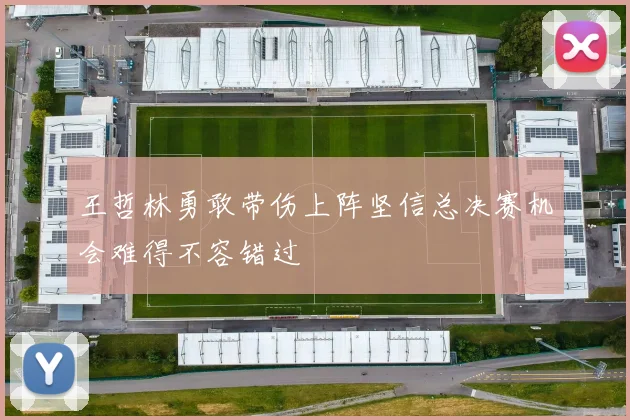 王哲林勇敢带伤上阵坚信总决赛机会难得不容错过