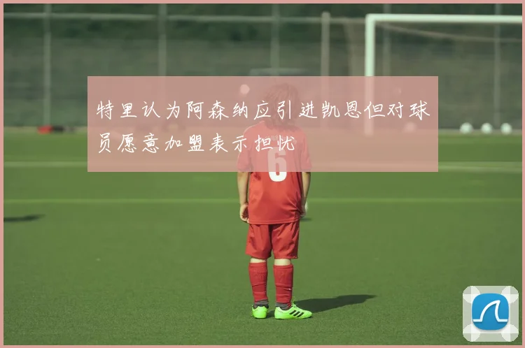 特里认为阿森纳应引进凯恩但对球员愿意加盟表示担忧